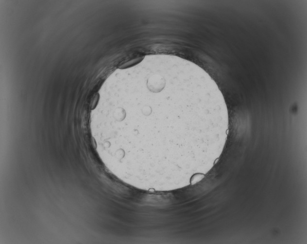 X0000115680571200912241443