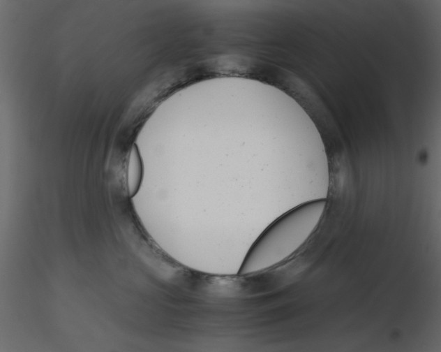X0000115680573200912241443