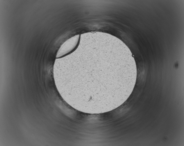 X0000115680574200912241443