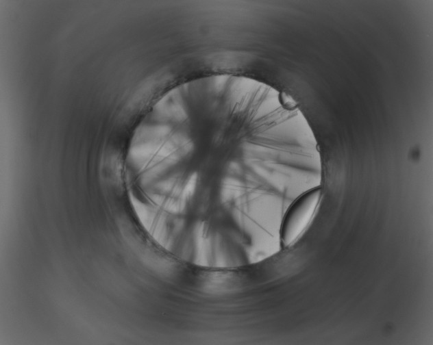 X0000115680575200912241443
