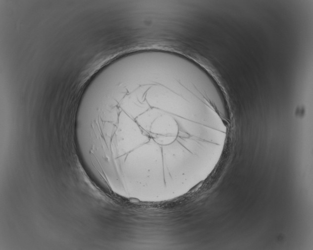 X0000115680577200912241442