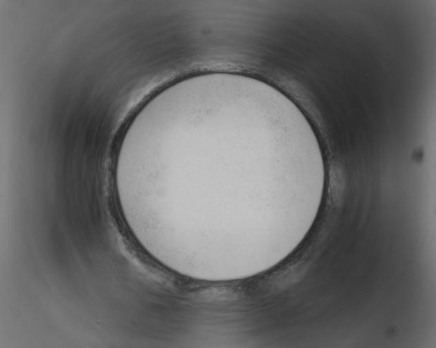X0000115680578200912241442