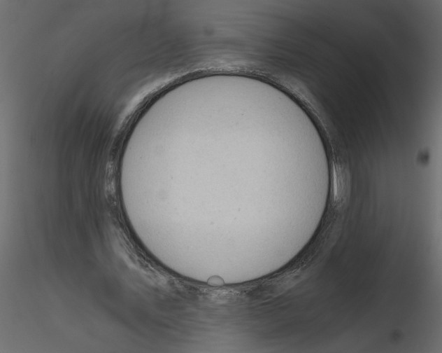 X0000115680579200912241442