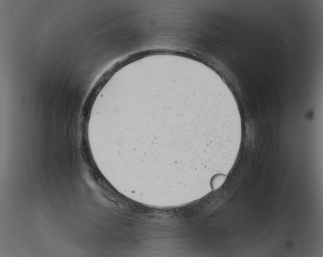 X0000115680580200912241442