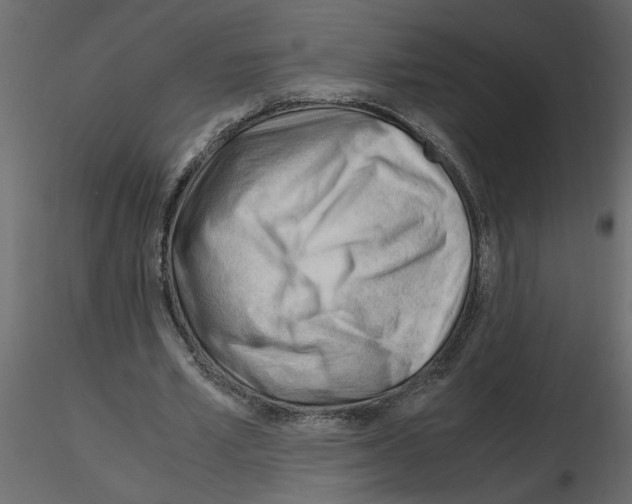 X0000115680581200912241442