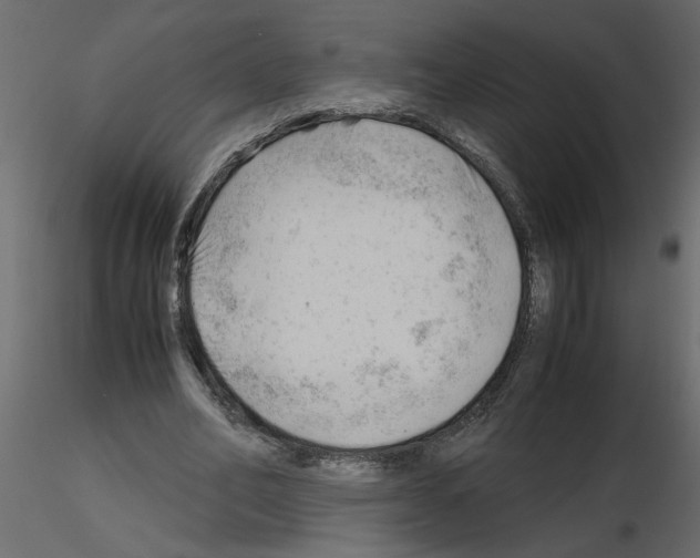 X0000115680582200912241442