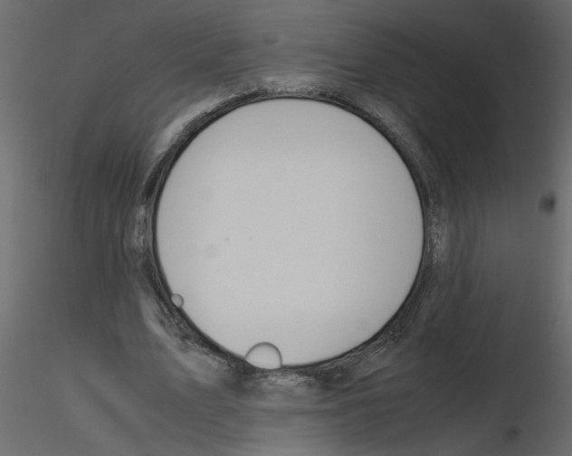 X0000115680583200912241442