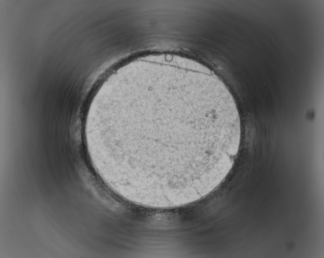 X0000115680584200912241442
