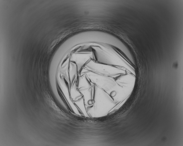 X0000115680585200912241442