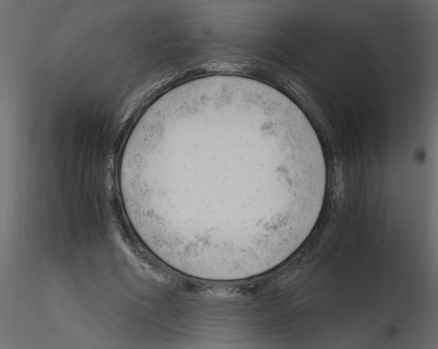 X0000115680586200912241442