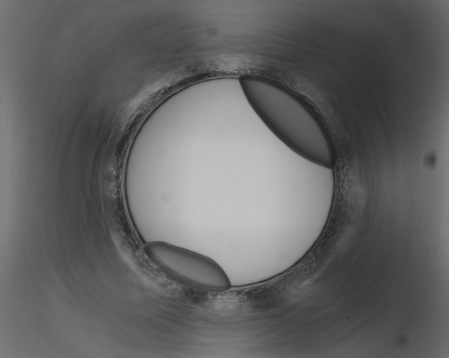 X0000115680587200912241442