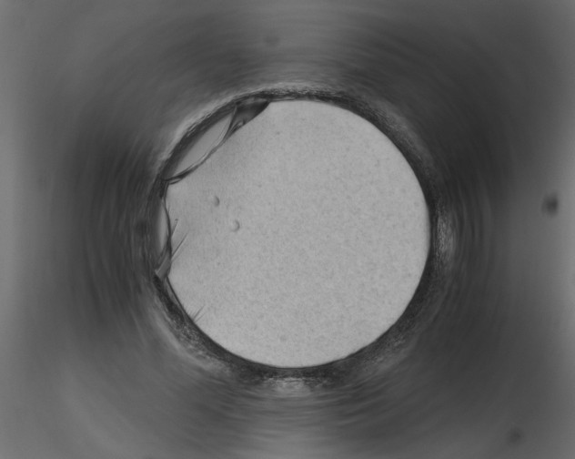 X0000115680588200912241442