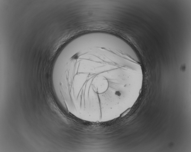 X0000115680589200912241442