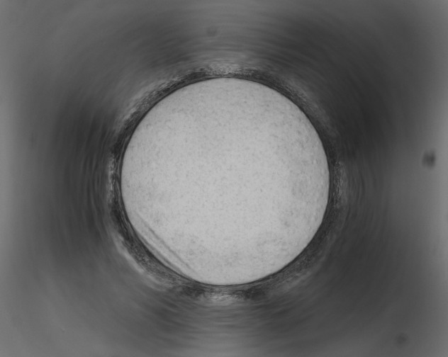X0000115680590200912241442