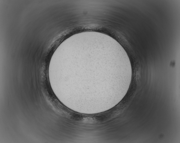 X0000115680591200912241442