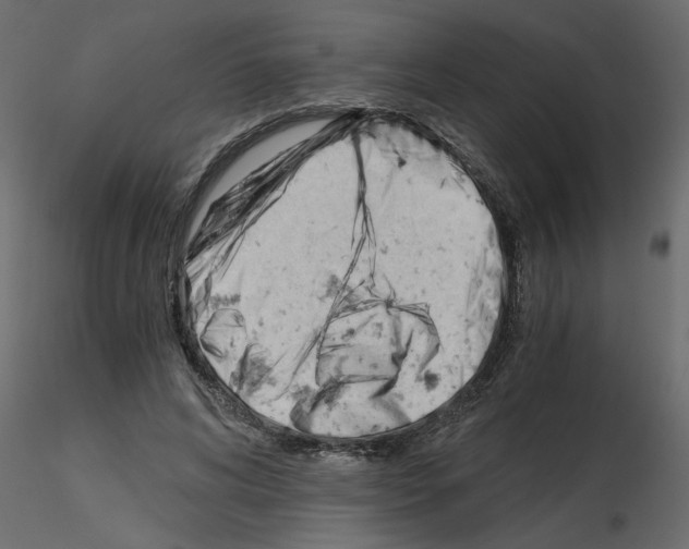 X0000115680592200912241442