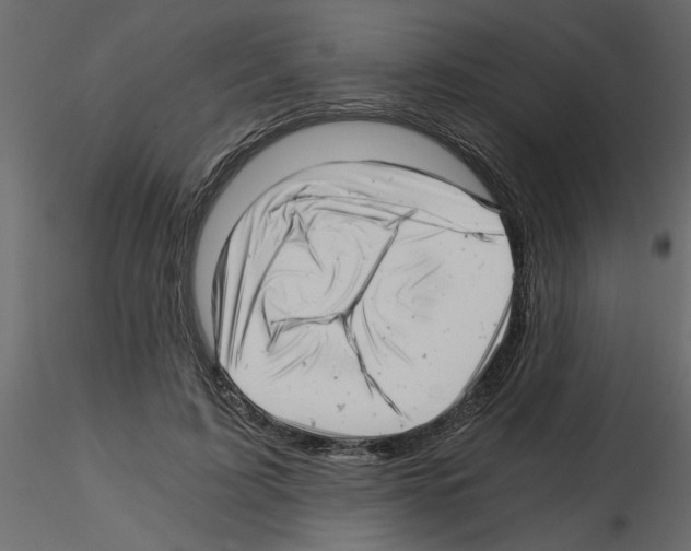 X0000115680595200912241442