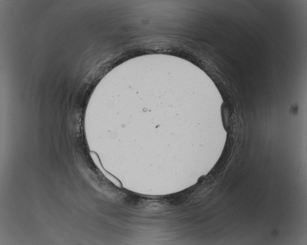 X0000115680597200912241442