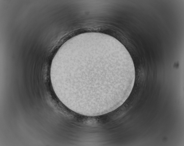 X0000115680600200912241442