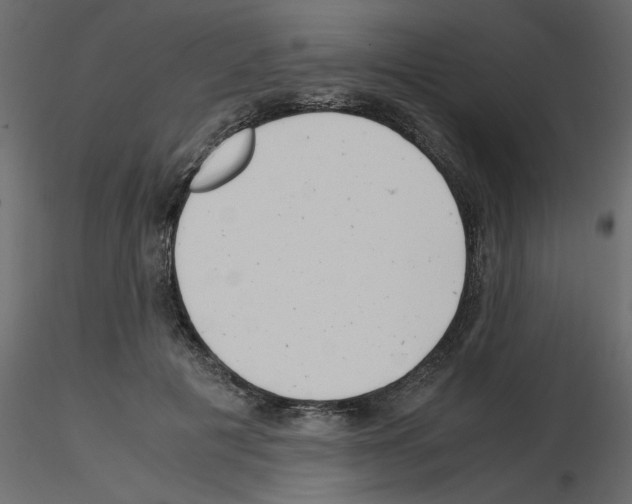 X0000115680601200912241442