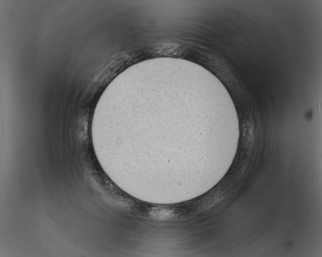 X0000115680602200912241442