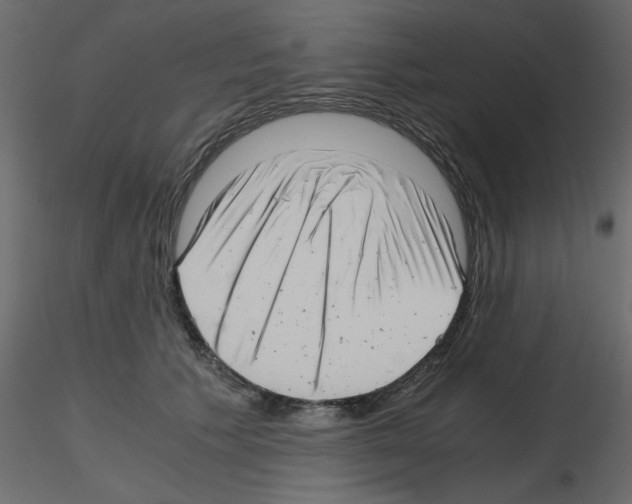 X0000115680609200912241442