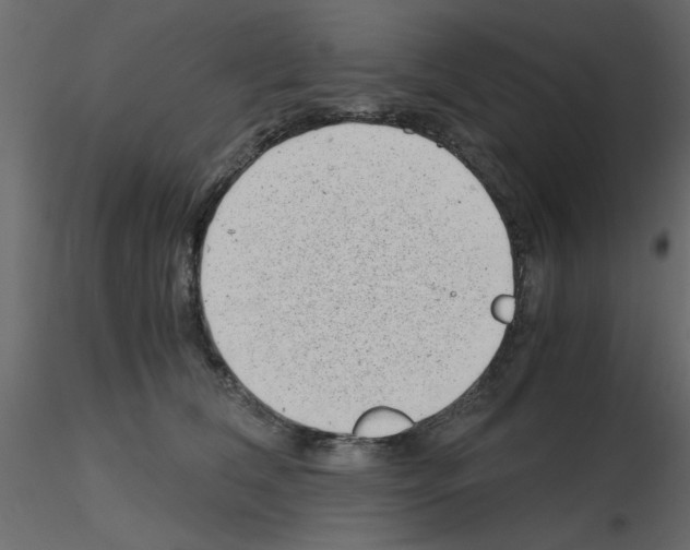 X0000115680612200912241442