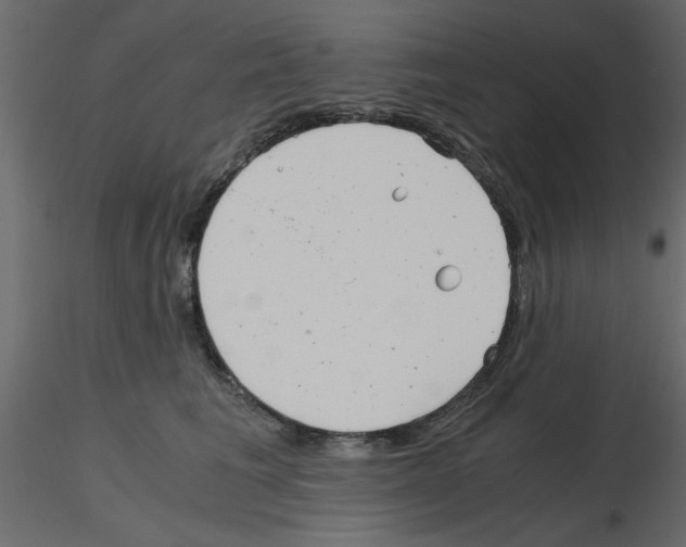 X0000115680613200912241442