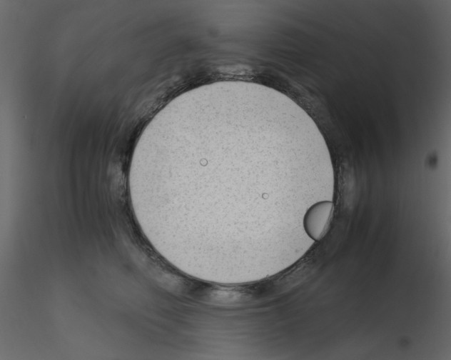 X0000115680614200912241442