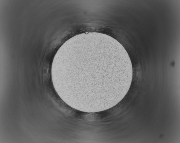 X0000115680615200912241442