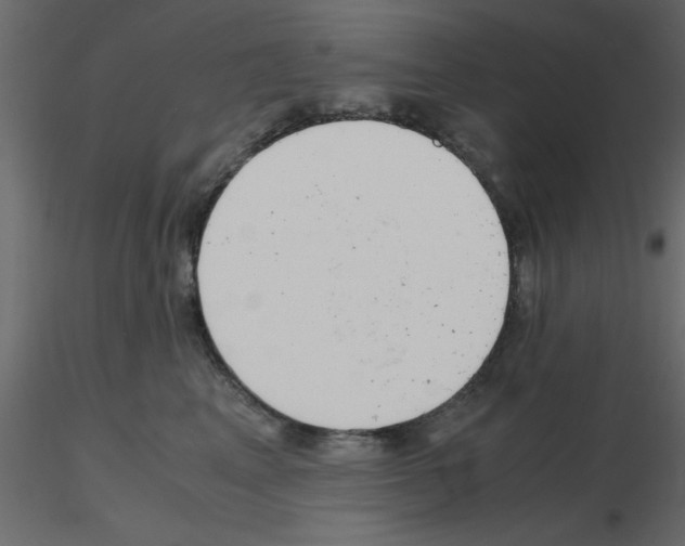 X0000115680617200912241442