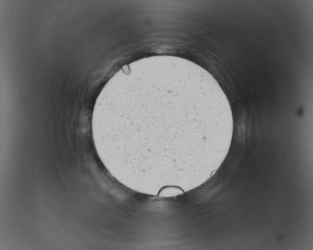 X0000115680620200912241442