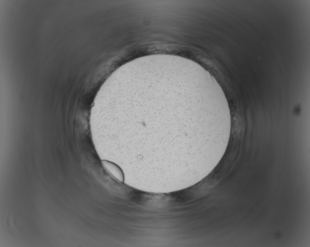 X0000115680621200912241442