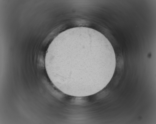X0000115680622200912241442