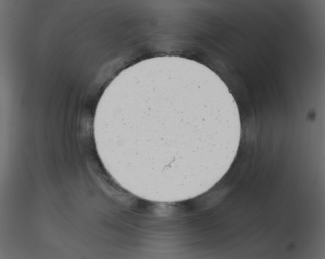 X0000115680623200912241442