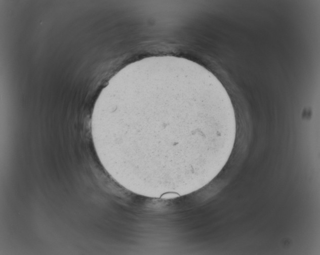 X0000115680624200912241442