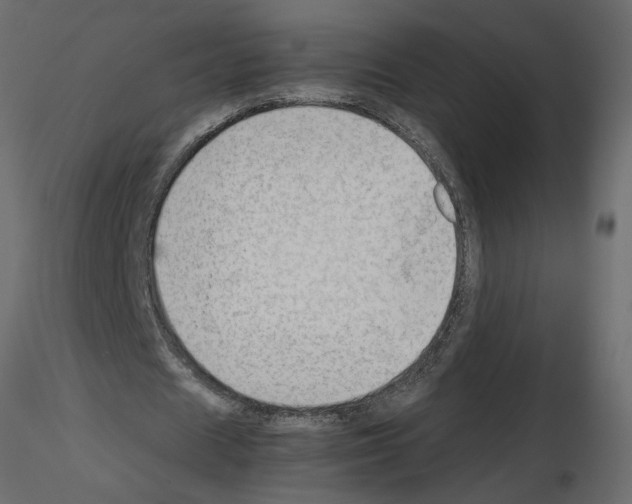 X0000115680625200912241441