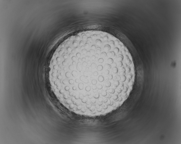 X0000115680626200912241441