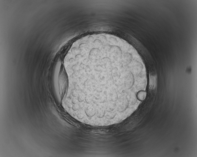 X0000115680627200912241441