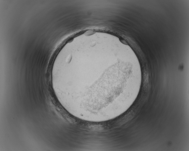 X0000115680628200912241441
