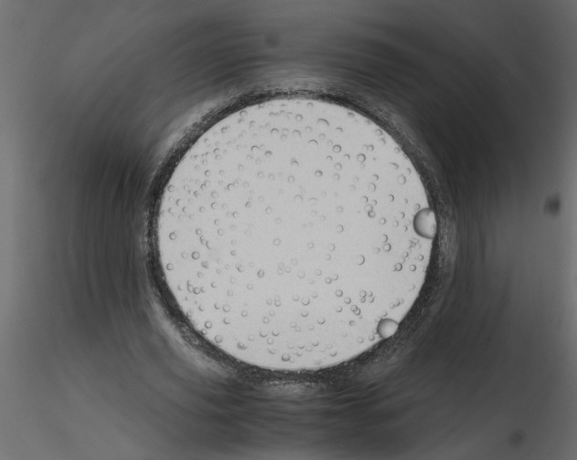 X0000115680629200912241441