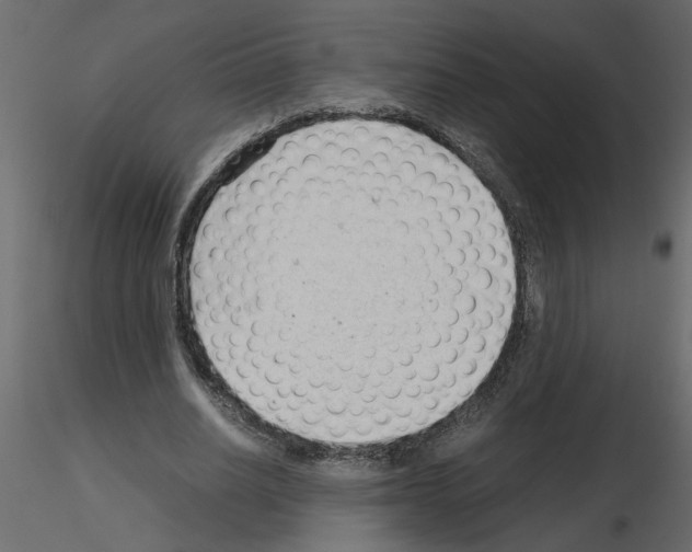 X0000115680630200912241441