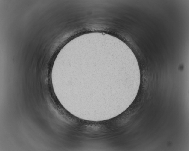 X0000115680631200912241441