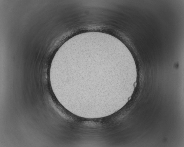 X0000115680633200912241441