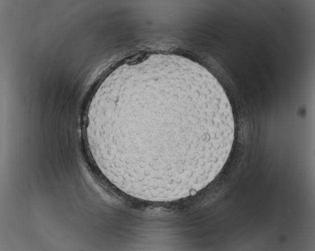 X0000115680634200912241441