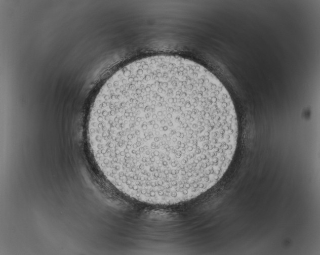 X0000115680635200912241441