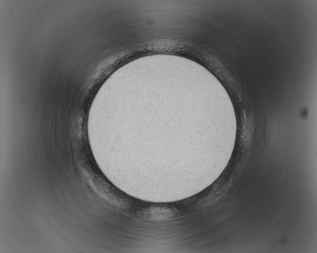X0000115680636200912241441