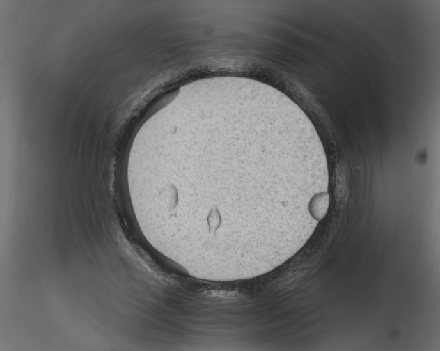 X0000115680637200912241441
