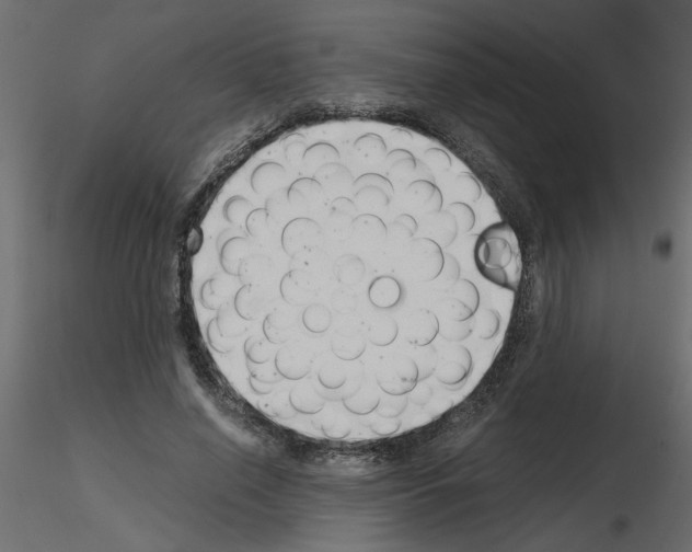 X0000115680638200912241441