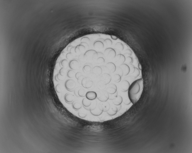 X0000115680639200912241441